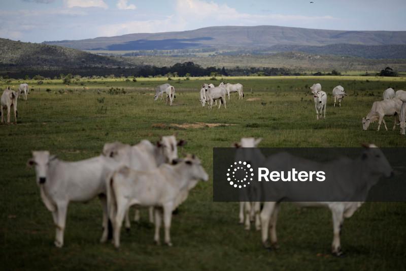 Restrições da UE à carne brasileira devem ser resolvidas em breve, diz Mauro Vieira
