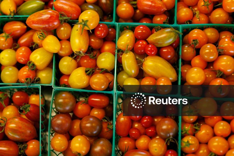 Preços ao produtor dos EUA registram maior ganho em quatro anos em abril