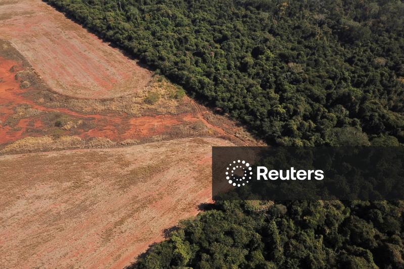 SLC Agrícola exerce preferência para aquisição de terras do Grupo Radar no Mato Grosso