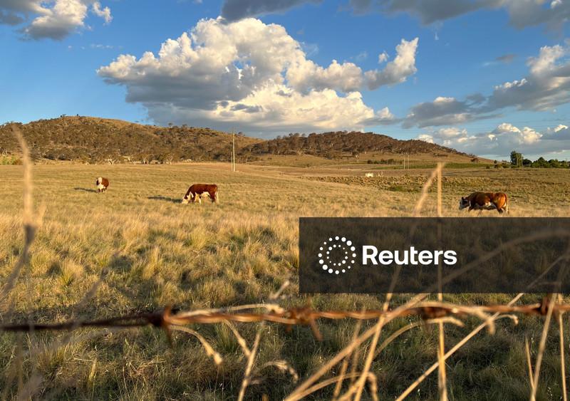 Austrália afirma que El Niño deve ser o mais forte das últimas décadas