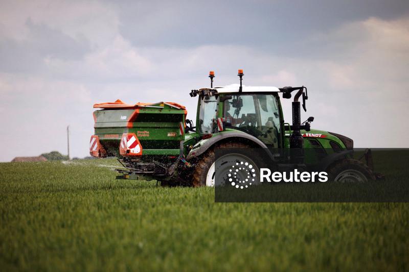 Serviço de monitoramento de safras da UE diz que onda de calor ameaça cultivos de verão