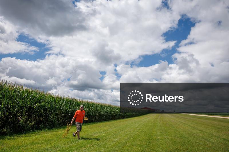 AgRural reduz previsão da 2ª safra de milho do Brasil