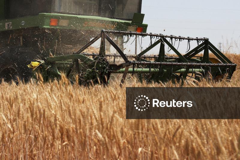 APK-Inform eleva previsão de colheita e exportação de grãos da Ucrânia em 2026/27
