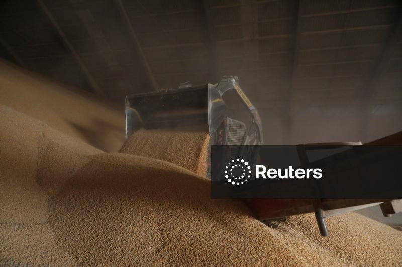 Preços mundiais de alimentos caem em maio mas ainda estão perto de pico em três anos, diz FAO