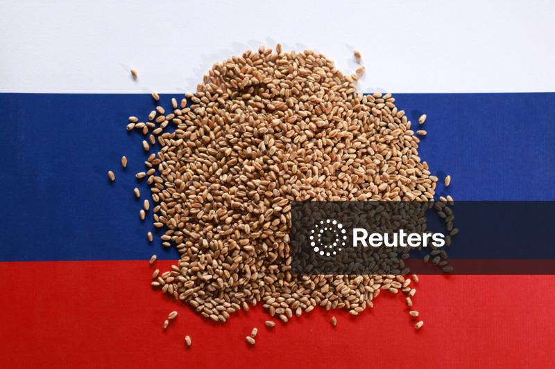 Argus eleva previsão da safra de trigo da Rússia