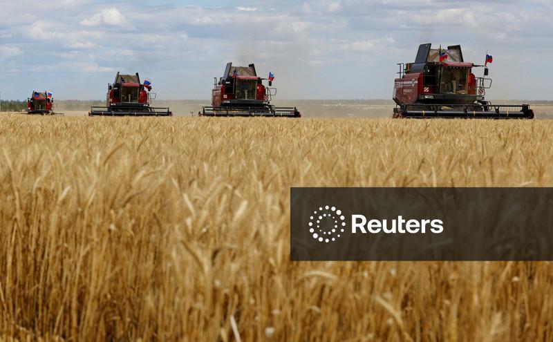 Safra de grãos e oleaginosas da Ucrânia pode aumentar 4,5% em 2026, prevê sindicato