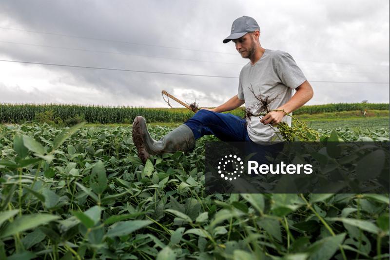 Milho encerra em queda em Chicago após operar abaixo de US$4/bu antes de dados do USDA