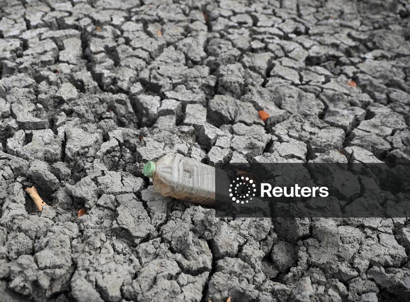 ONU pede que mundo se prepare para risco de calor extremo causado pelo El Niño