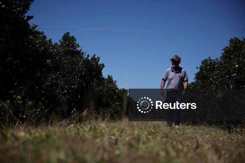 Inadimplência da população rural do Brasil cresceu para 8,8% no 1º tri, indica Serasa