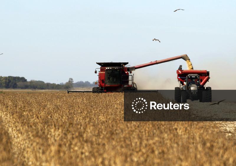 Agricultores argentinos adiam vendas de soja, apesar de preços mais altos