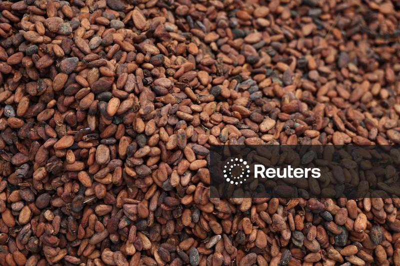 Preços do cacau caem com redução do processamento na Europa