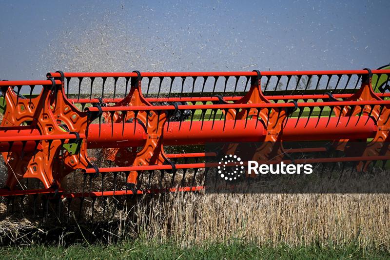 Previsão para safra de trigo da Argentina é elevada para 20,5 mi t, segundo bolsa