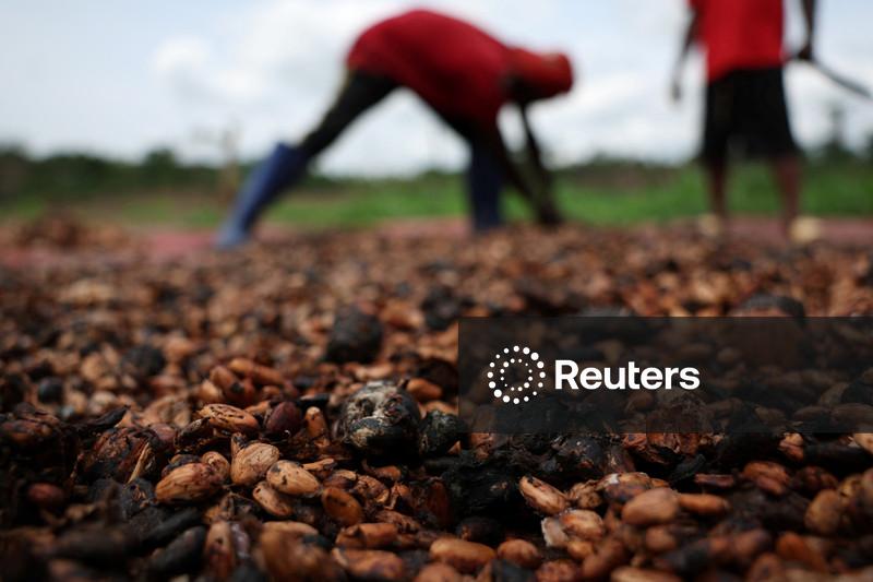 Contratos futuros do cacau e café fecham em alta, mas têm perdas na semana