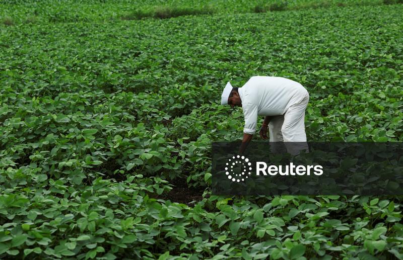 Processamento de soja nos EUA supera estimativas em junho