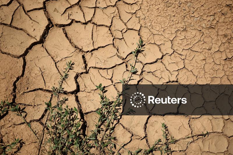 Mudanças climáticas agravam a seca em toda a Europa, afirmam cientistas