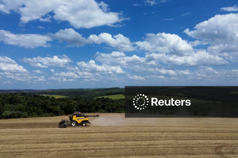 Área plantada com soja no Brasil em 26/27 deve crescer 1,2%, prevê Safras & Mercado