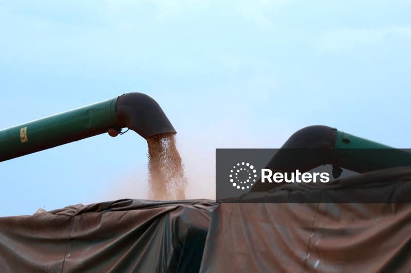 Deral vê leve alta na área de soja do Paraná em 26/27 e aumento de 4% na safra