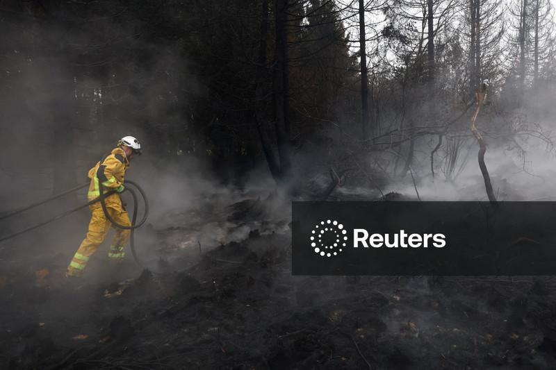 Chuvas ajudam em combate ao maior incêndio da Bélgica em meio a  chamas que assolam a Europa