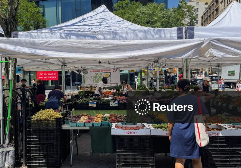 Alertas sobre saladas em Michigan diminuem, mas ciclosporíase mantém consumidores e supermercados preocupados