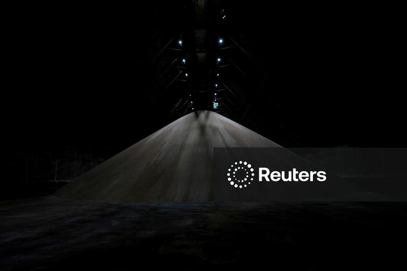 Produção de açúcar nos EUA deve cair, enquanto importações devem aumentar, prevê USDA