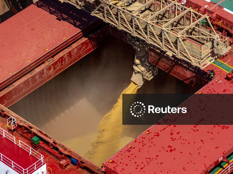 Anec vê aumento nas exportações de soja do Brasil em agosto e recuo para o milho