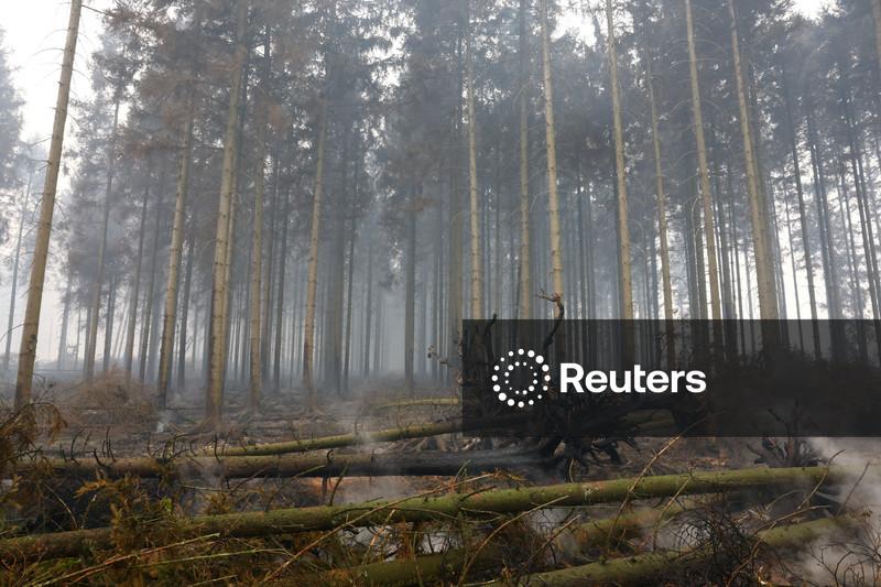 Maior  incêndio florestal já registrado na Bélgica avança em direção à Alemanha