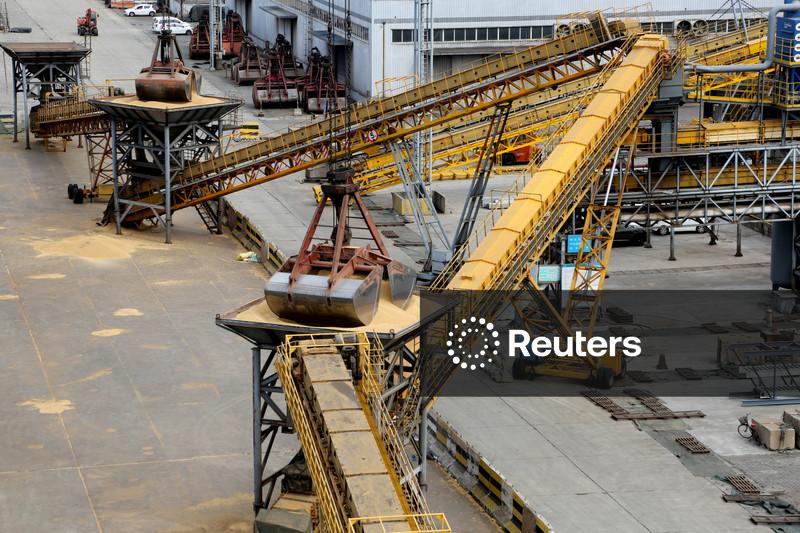 Importações de soja pela China caem em julho por preocupações com tamanho do rebanho suíno