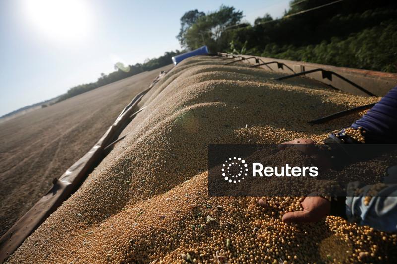 Transporte rodoviário registra defasagem de 10,5% no frete com alta do diesel, aponta pesquisa