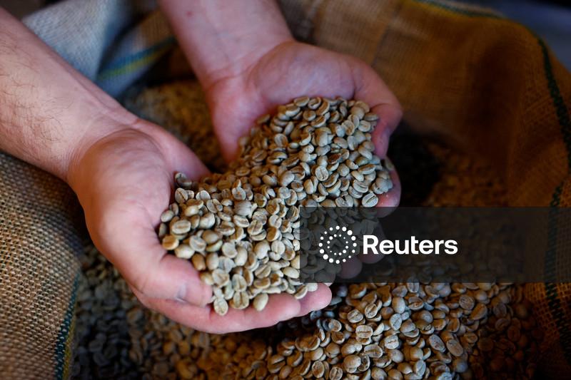 Exportações mundiais de café verde aumentaram 0,8% em junho, diz OIC