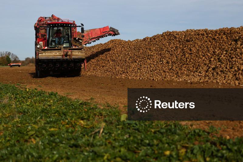 Tereos prevê produção de açúcar da UE no menor nível em 38 anos, em meio a clima adverso