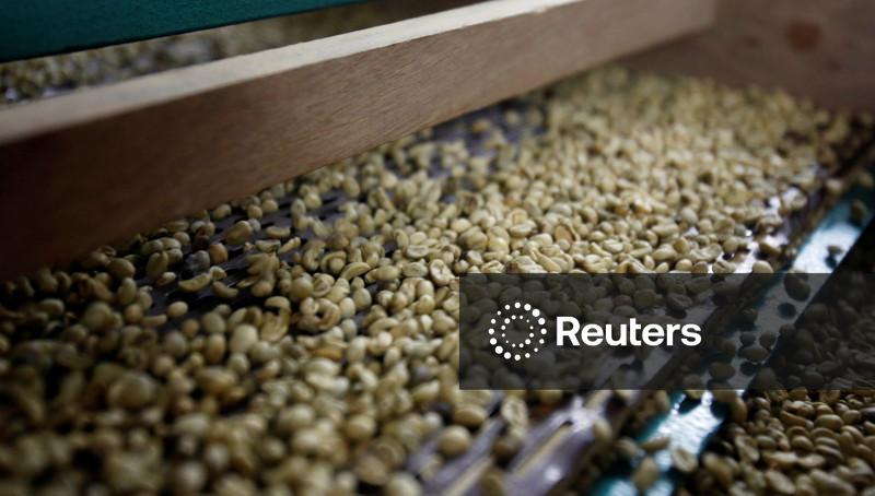 Ameaça do El Niño à safra de café do Vietnã não deve ser subestimada, diz associação