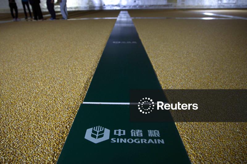 Chinesa Sinograin anuncia o quarto leilão de soja desde o final de julho