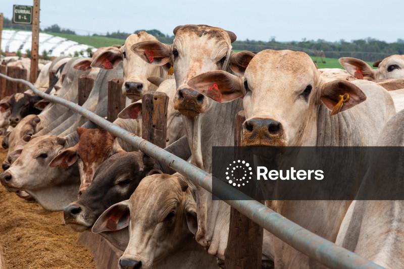Brasil deve aproveitar cota de carne dos EUA, que mitiga taxa da China, diz Abrafrigo