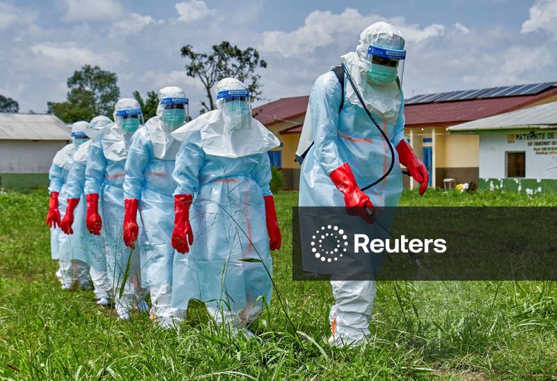 Nova transmissão a partir de animais provavelmente causou surto de Ebola no Congo e em Uganda, aponta estudo