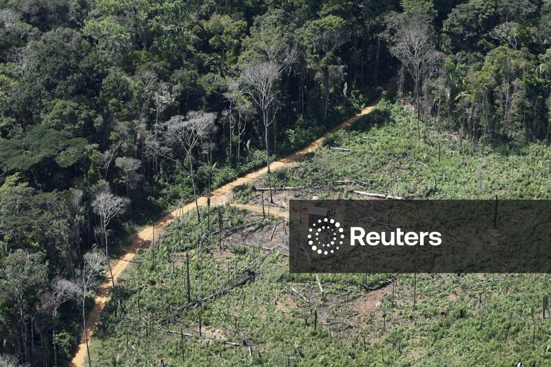 Desmatamento na Amazônia cai 36,9% e atinge menor nível da série histórica, diz governo