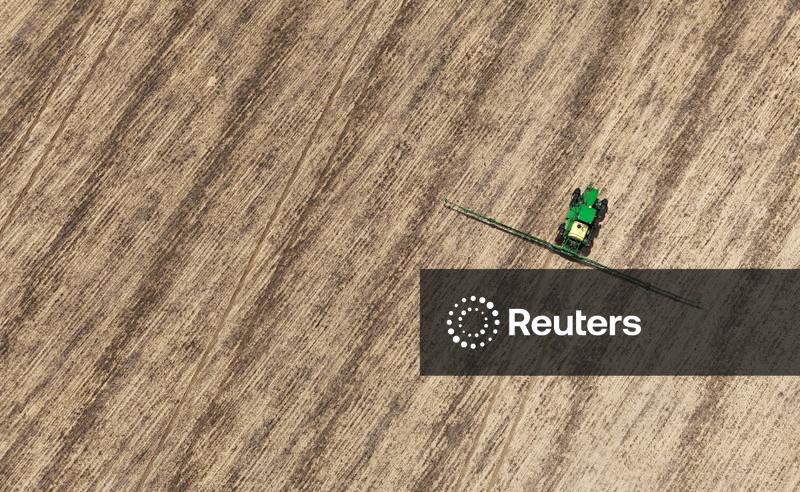 Safra de soja 26/27 do Brasil é estimada em recorde de 184,1 mi t, diz AgResource