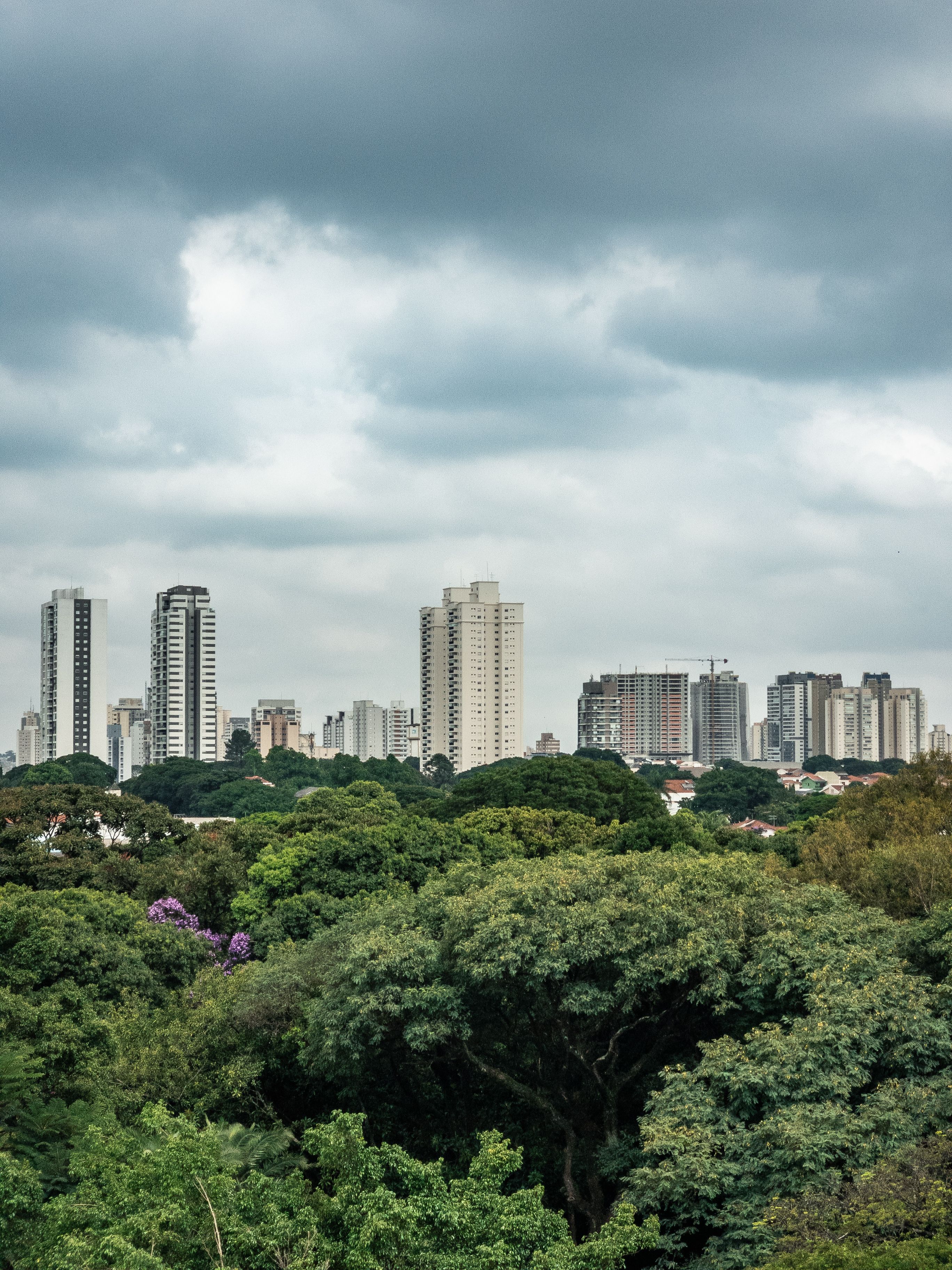 Sexta-feira tem aumento de nuvens, ventos de até 50 km/h e umidade abaixo de 30% em São Paulo