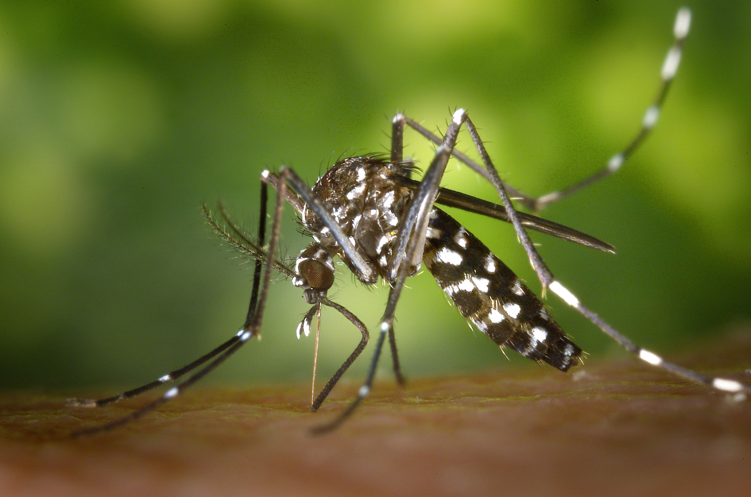 Ações contra a dengue chegam a Santíssimo e Ilha de Guaratiba nesta sexta
