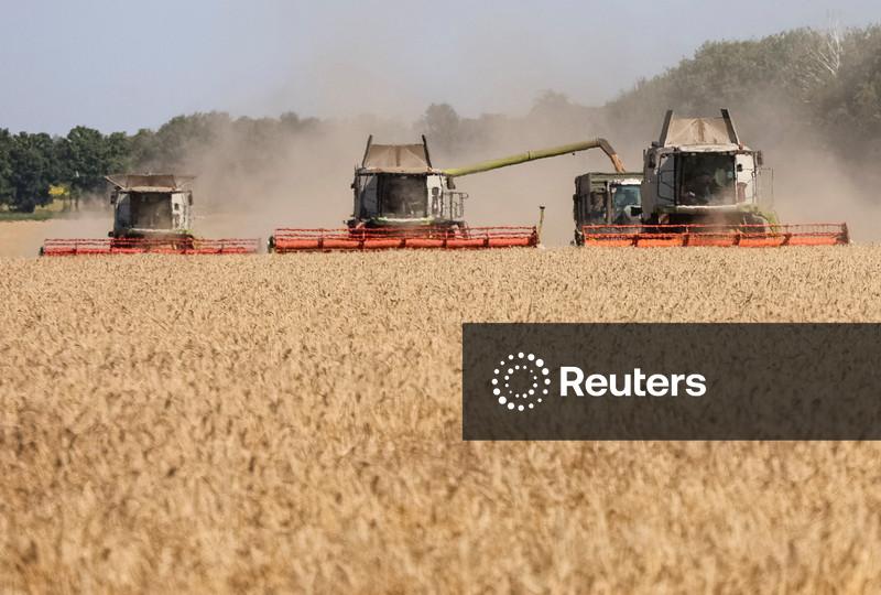 Grãos recuam na bolsa de Chicago com ajustes de posições antes do relatório do USDA
