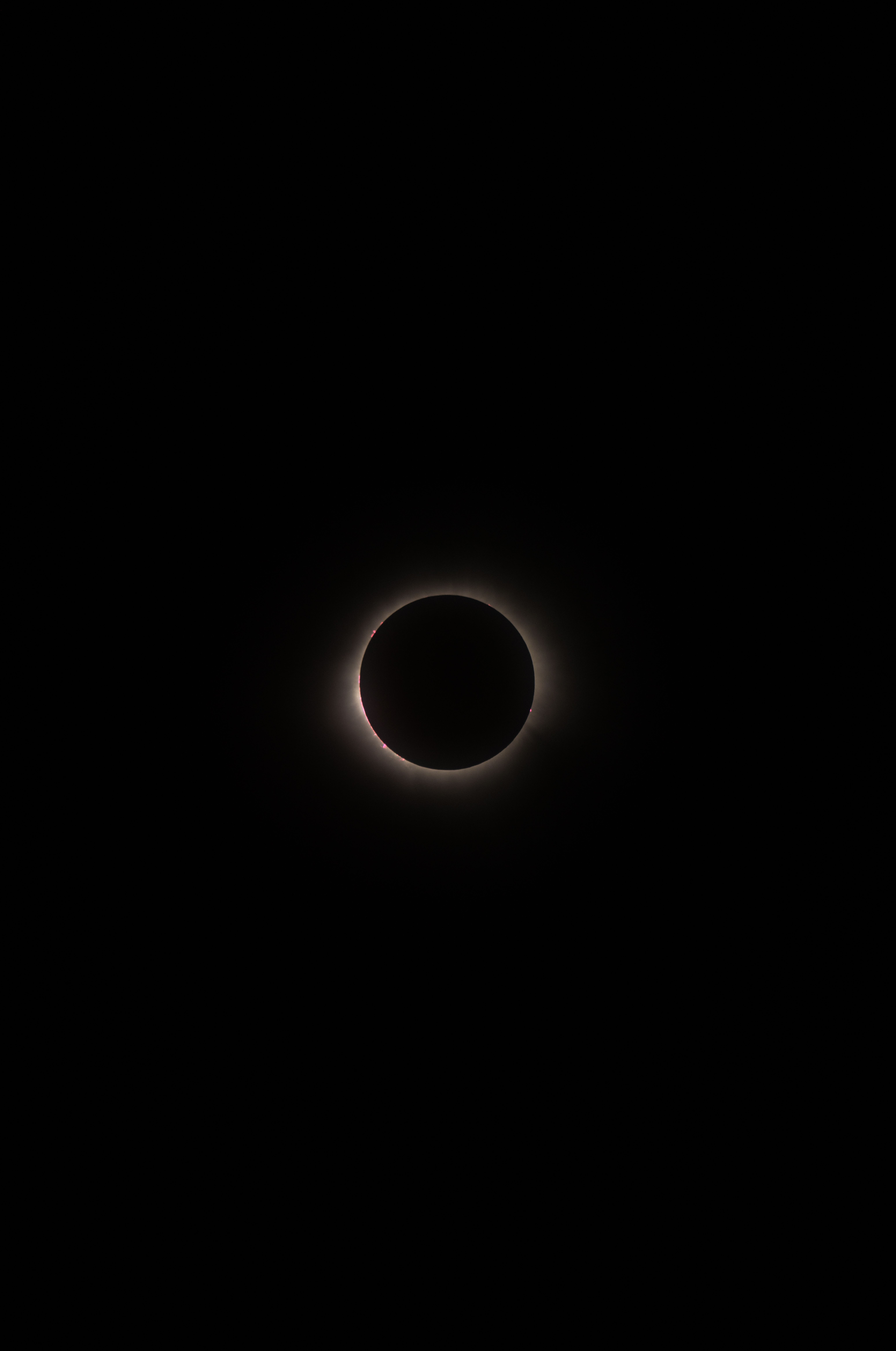 Eclipse solar total escurece o céu do Hemisfério Norte nesta quarta-feira