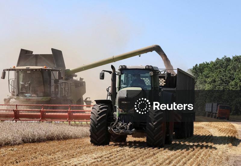 Trigo recua em Chicago; futuros do milho e soja têm sessão com volumes reduzidos