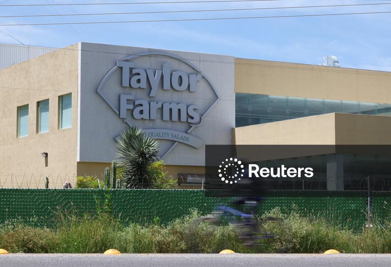 Taylor Farms faz recall de salsa e guacamole devido a surto de salmonela
