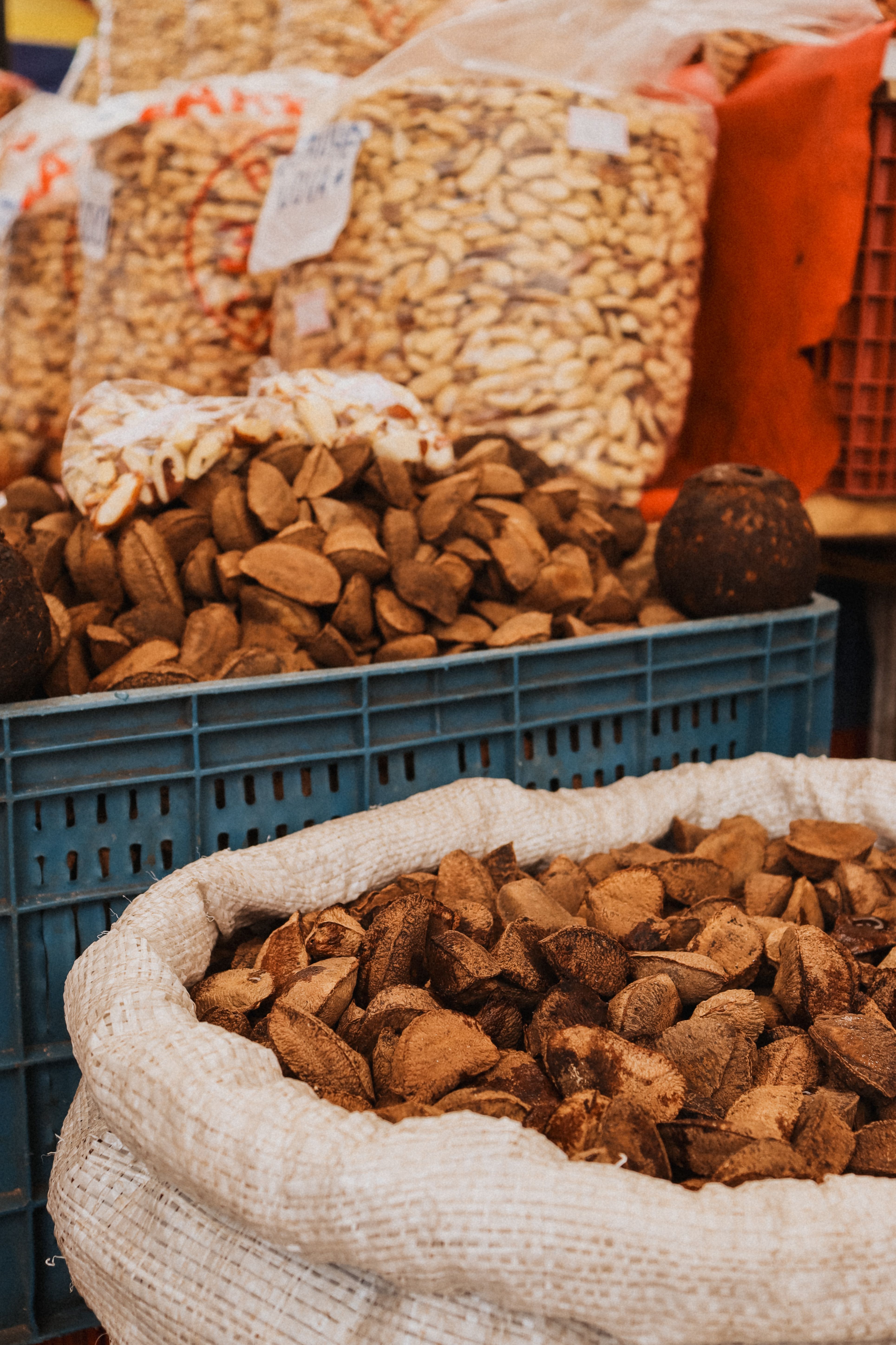 A castanha do Amazonas tem tanto selênio que a regra de "duas por dia" não serve aqui