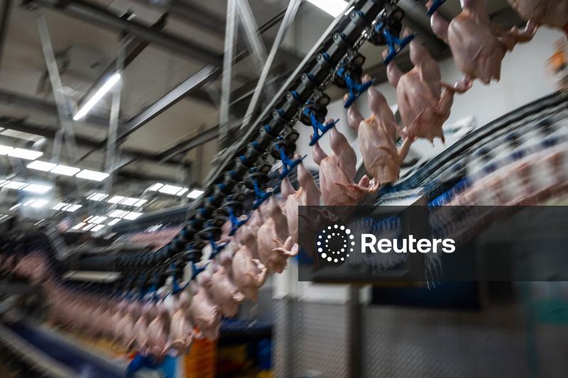 MBRF busca mitigar riscos nas compras de grãos diante do El Niño