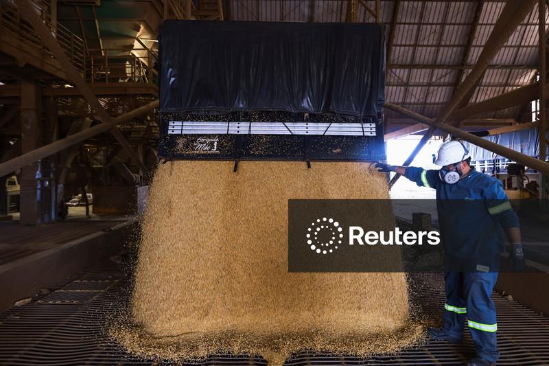 Cooperativas iniciam operação de esmagadora de soja que pertenceu à Dreyfus