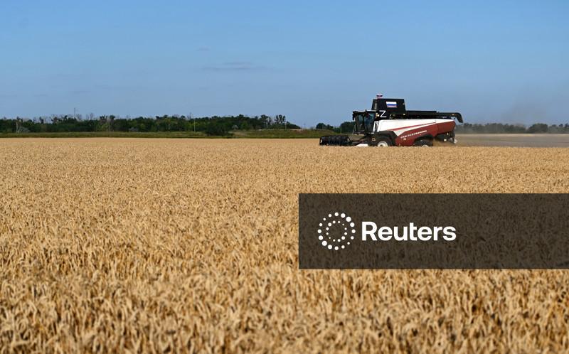 Décadas de ganhos na produção agrícola e estoques fortalecem sistema alimentar diante do "super" El Niño
