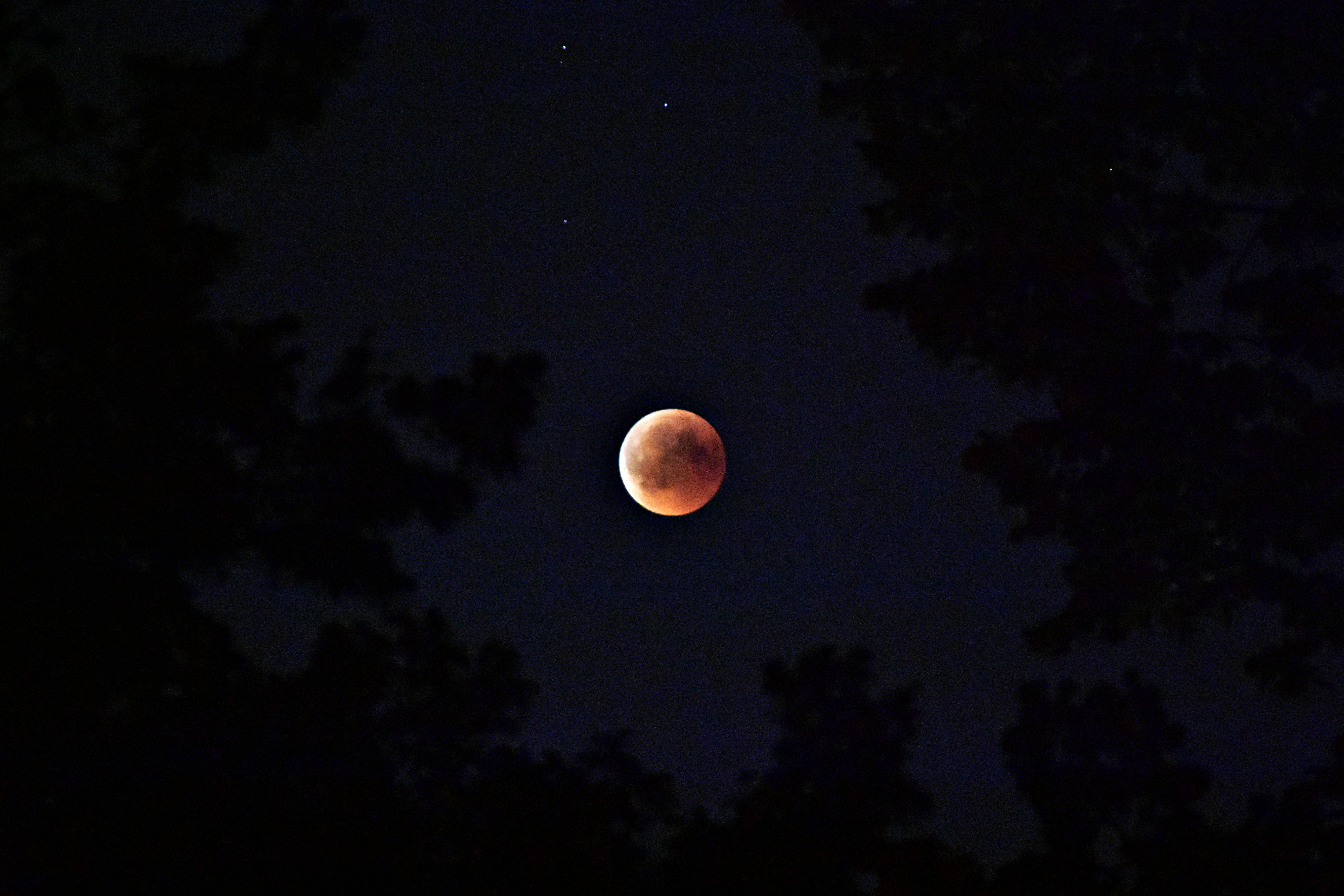 Dois eclipses em agosto: Lua avermelhada será visível em todo o Brasil
