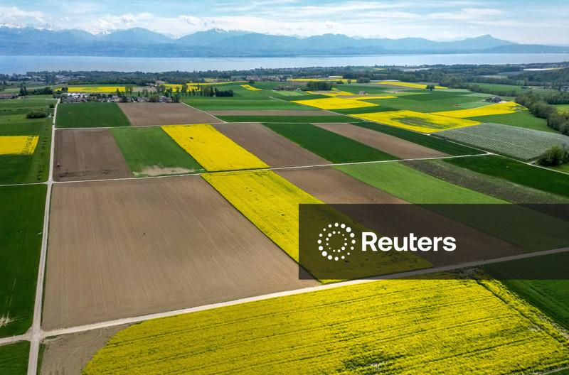 Preços do farelo de soja e do farelo de canola sobem na China por preocupações com oferta