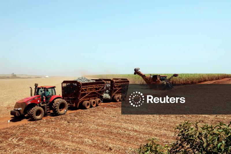 Clima, e não o preço, será fator determinante para produção de açúcar nas usinas brasileiras