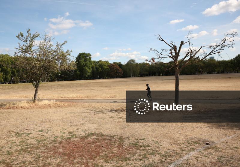Verão  no Reino Unido foi o mais quente já registrado, diz Met Office, após período de forte calor e seca